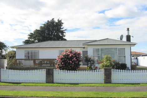 Photo of property in 9 Vogel Street, Levin, 5510