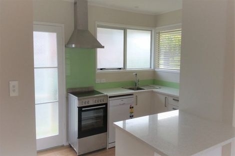 Photo of property in 20 Stanaway Street, Hillcrest, Auckland, 0627