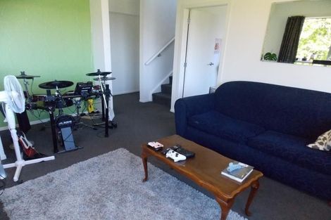 Photo of property in 127u1 Raroa Road, Aro Valley, Wellington, 6012