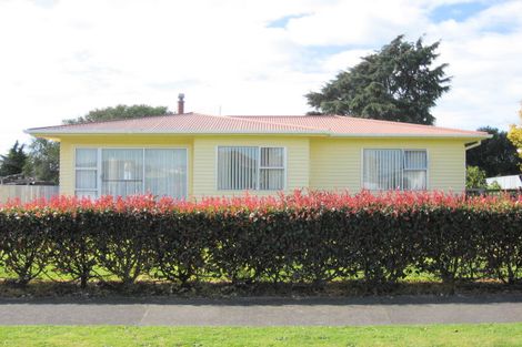 Photo of property in 7 Vogel Street, Levin, 5510