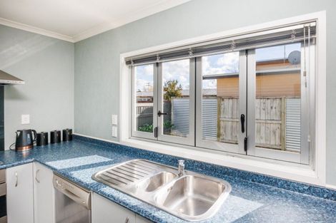 Photo of property in 22a Marlborough Street, Feilding, 4702