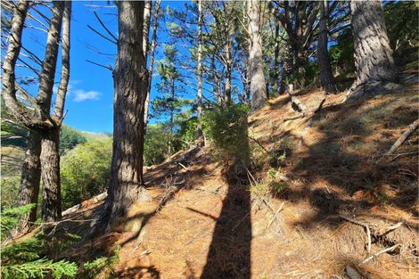 Photo of property in 73 Valley Road, Paraparaumu, 5032