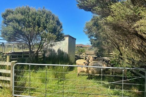 Photo of property in 83 Mcmanus Road, Houhora, Pukenui, 0484