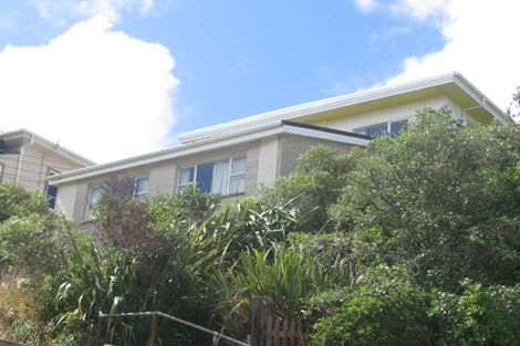 Photo of property in 91a Karepa Street, Brooklyn, Wellington, 6021