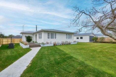 Photo of property in 223 Huatoki Street, Upper Vogeltown, New Plymouth, 4310