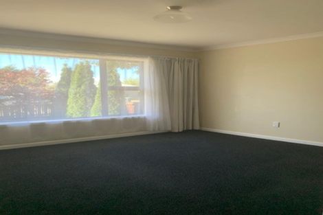 Photo of property in 43 Blankney Street, Hornby, Christchurch, 8042