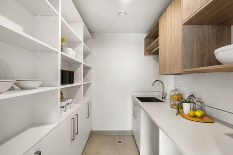 Photo of property in 11 Viridian Avenue, Rosehill, 2113