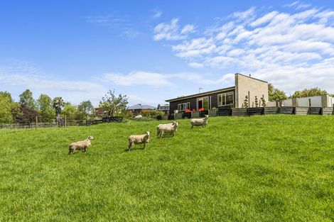 Photo of property in 504 Thames Street, Morrinsville, 3300
