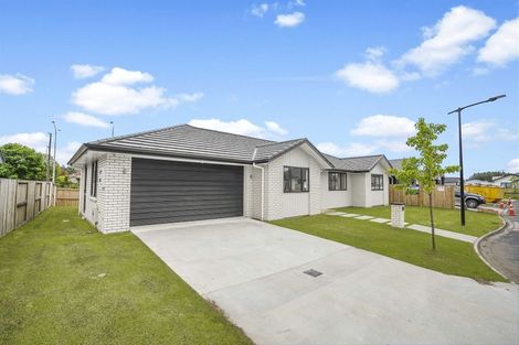 Photo of property in 52 Maggie Place, Chartwell, Hamilton, 3210