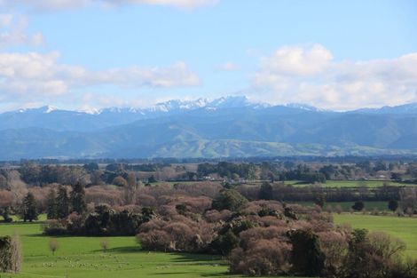 Photo of property in 17 Hill Street, Te Kuiti, 3910