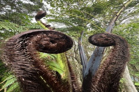 Photo of property in 9 Mariners Way, Whitby, Porirua, 5024