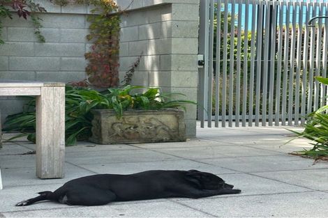 Photo of property in 218 Woodham Road, Linwood, Christchurch, 8062