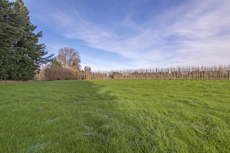 Photo of property in 10 Jelfs Road, Woodend Beach, Woodend, 7691