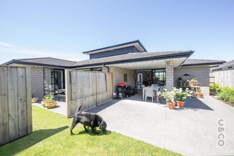 Photo of property in 17 Pitoitoi Drive, Riverhead, 0820