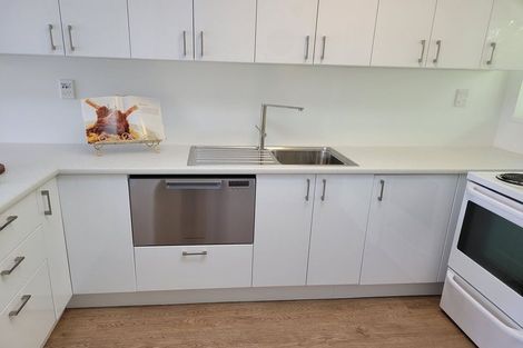 Photo of property in 22f2 Mccoll Street, Vogeltown, Wellington, 6021