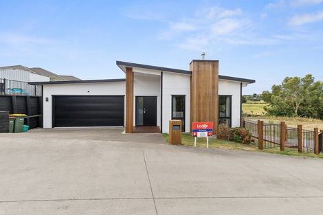 Photo of property in 13 Paritai Place, Flagstaff, Hamilton, 3210