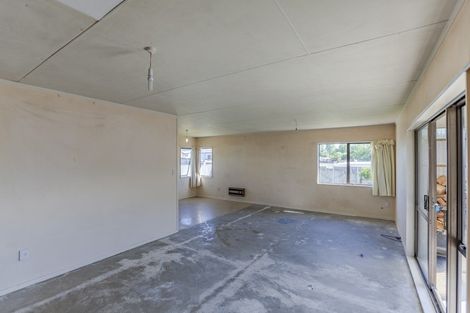 Photo of property in 19 Porritt Place, Waipukurau, 4200