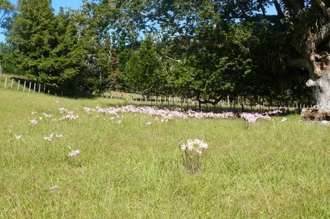 Photo of property in 697 Kohumaru Road, Mangonui, 0494