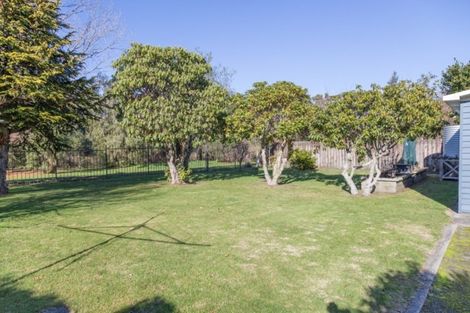 Photo of property in 217 Taupahi Road, Turangi, 3334