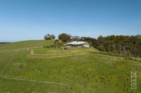 Photo of property in 457 Kiwitahi Road, Helensville, 0875