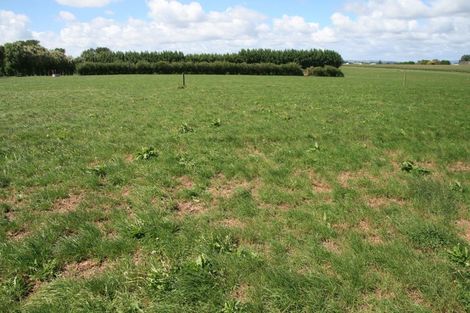 Photo of property in 111 Ohangai Road, Normanby, Hawera, 4675