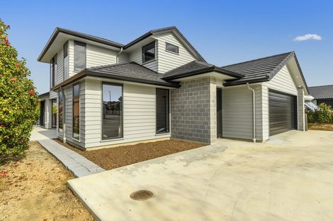 Photo of property in 37 Bert Wall Drive, Omokoroa, 3114