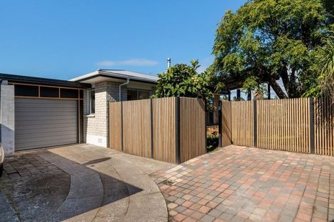 Photo of property in 48b Crane Street, Mount Maunganui, 3116