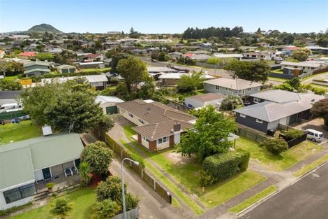 Photo of property in 7 Spur Avenue, Mount Maunganui, 3116