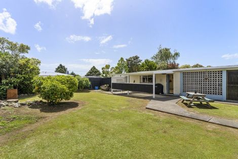 Photo of property in 19 Freyberg Street, Levin, 5510