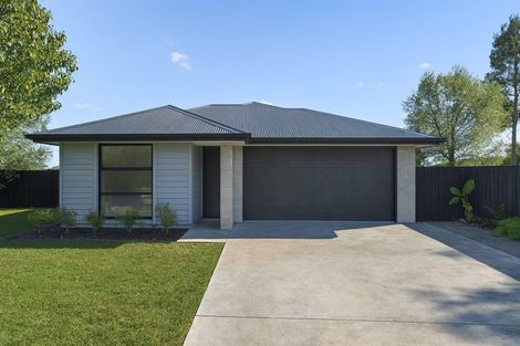 Photo of property in 341 Trices Road, Prebbleton, 7604