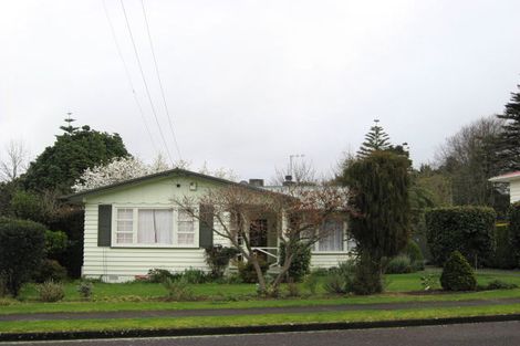 Photo of property in 11 Green Avenue, Levin, 5510