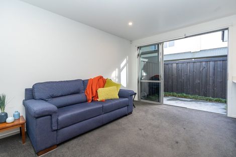 Photo of property in 17u2 Manning Street, Hamilton Central, Hamilton, 3204