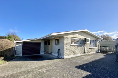 Photo of property in 195 Princes Street, Strathern, Invercargill, 9812