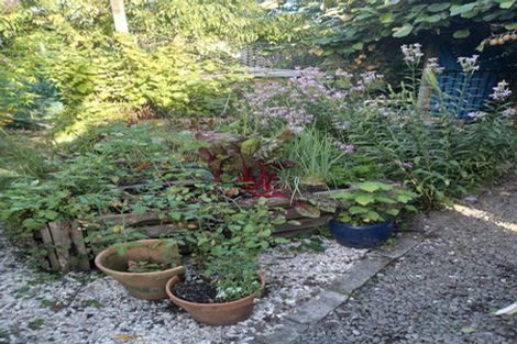 Photo of property in 45 Elbourne Street, Taradale, Napier, 4112