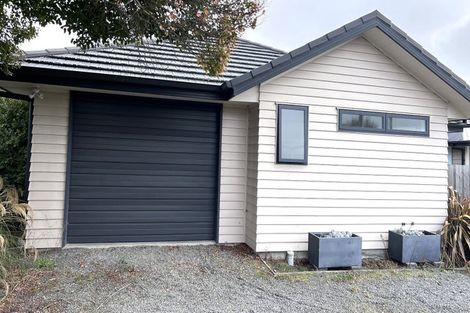 Photo of property in 165 Petrie Street, Richmond, Christchurch, 8013