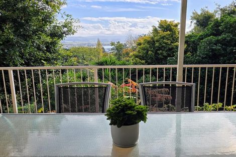 Photo of property in 2 Coleman Terrace, Hospital Hill, Napier, 4110