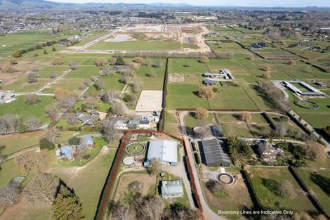 Photo of property in 49 Racecourse Road, Cambridge, 3493