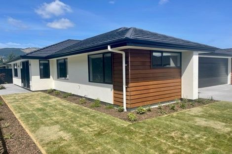 Photo of property in 35 Oakdale Grove, Richmond, 7020