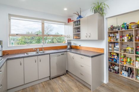 Photo of property in 50 Tui Street, Pahiatua, 4910