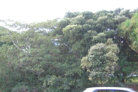 Photo of property in 251 Great North Road, Henderson, Auckland, 0612