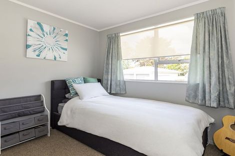 Photo of property in 25 Alloway Street, Fairlie, 7925