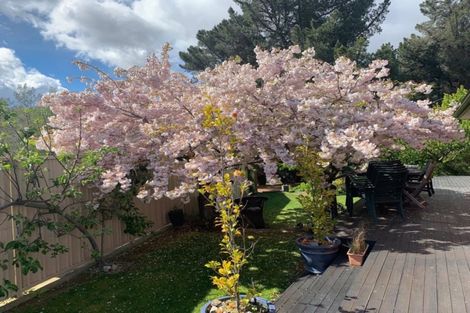 Photo of property in 38 Jollys Road, Cromwell, 9310