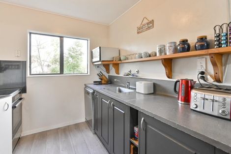 Photo of property in 100 Kereru Road, Maraekakaho, Hastings, 4171