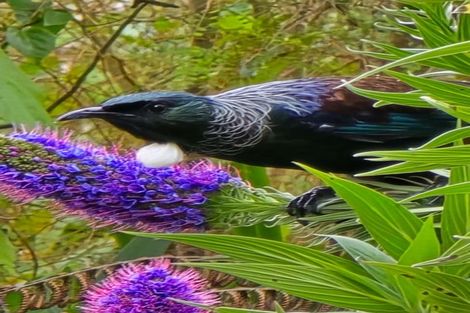 Photo of property in 43 Melville Drive, Whakatane, 3120