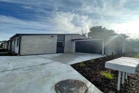 Photo of property in 45a Hillier Place, Spreydon, Christchurch, 8024