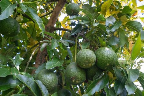 Photo of property in 107 Thornton Road, Cambridge, 3434