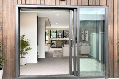 Photo of property in Aniva Terrace, 22 Ferguson Street, Newtown, Wellington, 6021