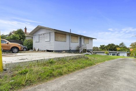 Photo of property in 111 Pembroke Street, Hamilton Lake, Hamilton, 3204