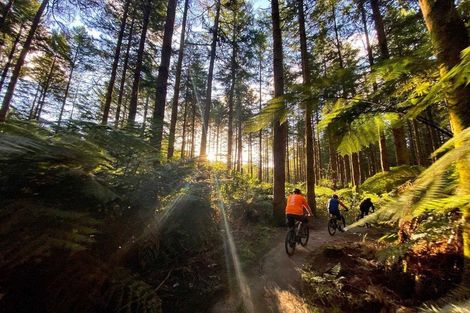 Photo of property in 37/64 Kawaha Point Road, Kawaha Point, Rotorua, 3010