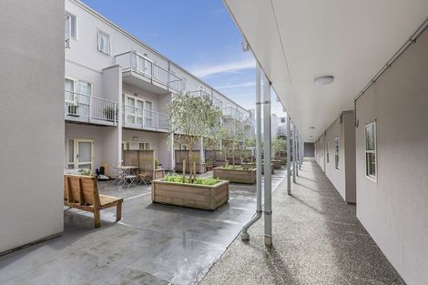 Photo of property in Luxford Villas, 308/72u Herald Street, Berhampore, Wellington, 6023